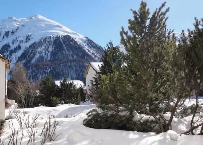 Chesa Palue By Interhome Apartment Bever